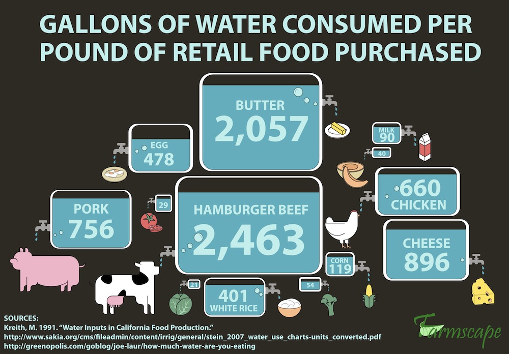 water consumption