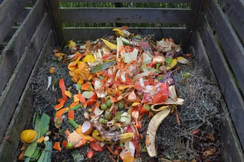 The Science Of Composting thumbnail